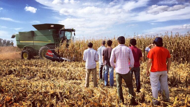 agricultores trabajando en un campo argentino