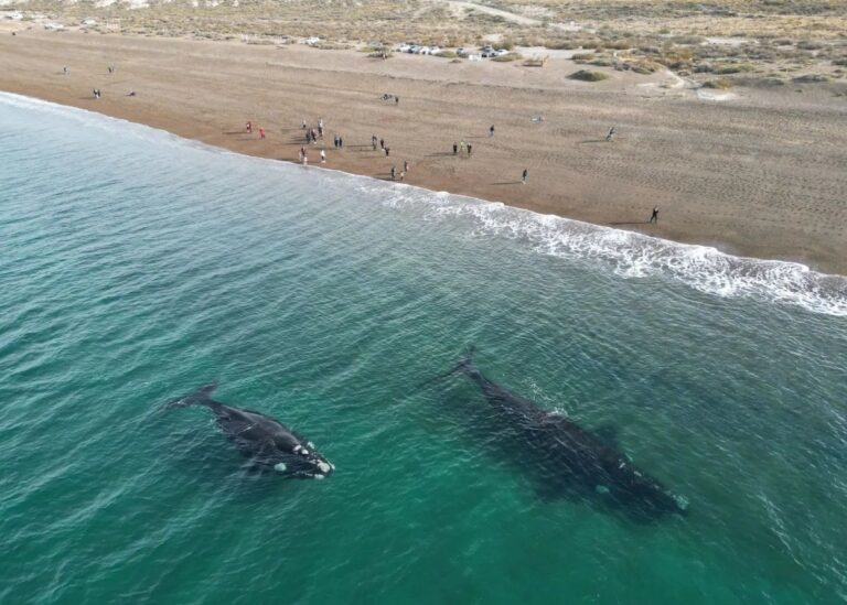 belleza natural de playa canteras puerto madryn
