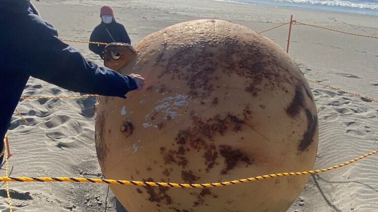 bola gigante en la playa japonesa