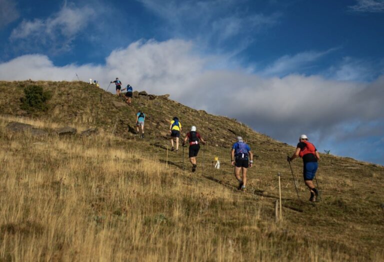 carreras emocionantes en paisajes vibrantes