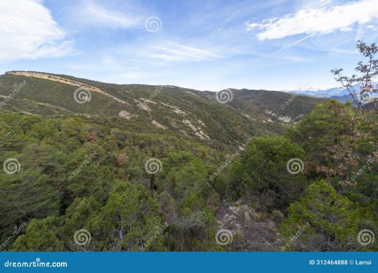 Qué significa la frase "El cielo va de regalo" 2 cielo despejado sobre un paisaje sereno