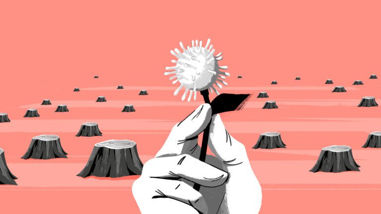 crisis ambiental en un planeta devastado