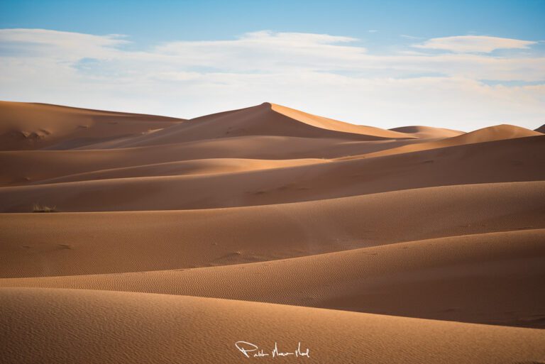 desierto de sahara al atardecer