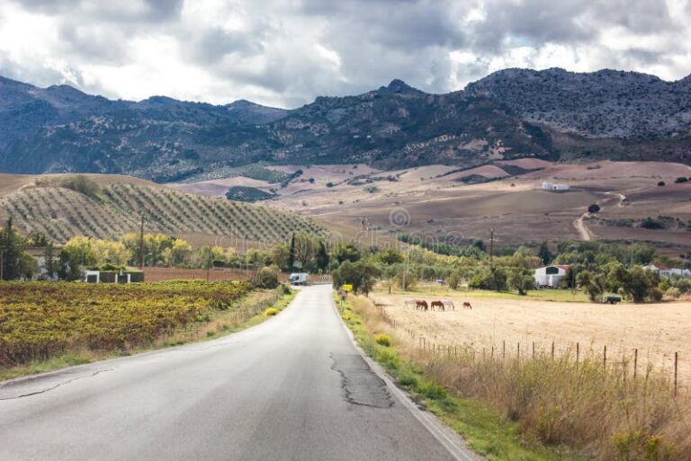 escena de un viaje en carretera solitaria