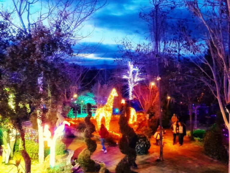 escuela magica en un bosque encantado