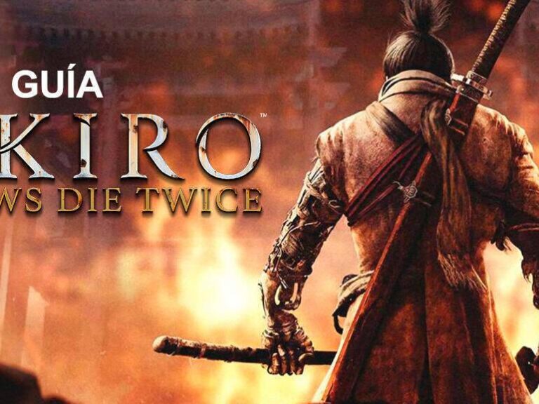 guerrero enfrentando un dragon en sekiro