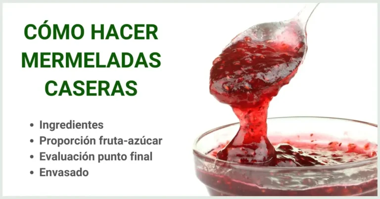 ingredientes frescos para hacer dulce casero