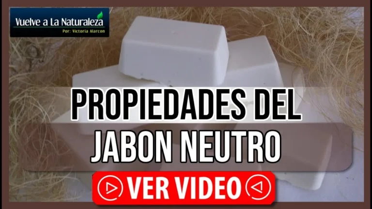 ingredientes naturales del jabon blanco ala
