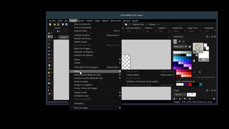 Qué es Corel PaintShop Photo Pro y cómo utilizarlo eficazmente 22 interfaz de corel paintshop en uso