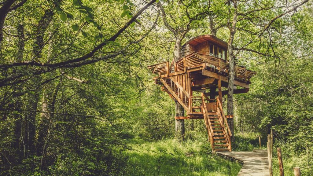 Dónde puedo comprar la colección de The North Face x Gucci 5 Dónde puedo comprar la colección de The North Face x Gucci