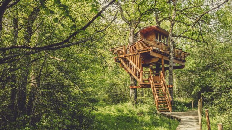 moda de lujo en la naturaleza