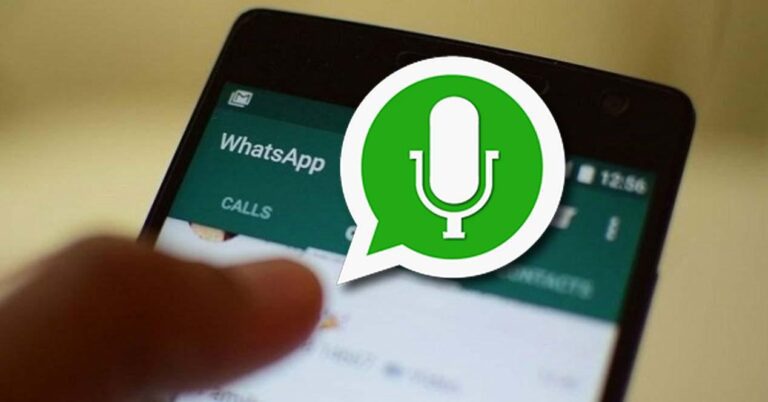 movil mostrando estado de whatsapp con audio