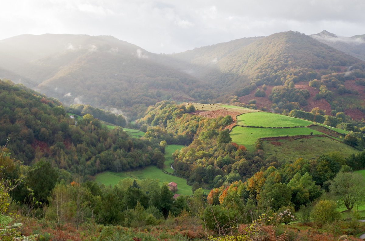 Qué diferencias hay entre la trilogía del Baztán y sus películas