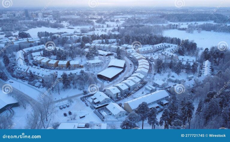 nieve cubriendo un paisaje urbano