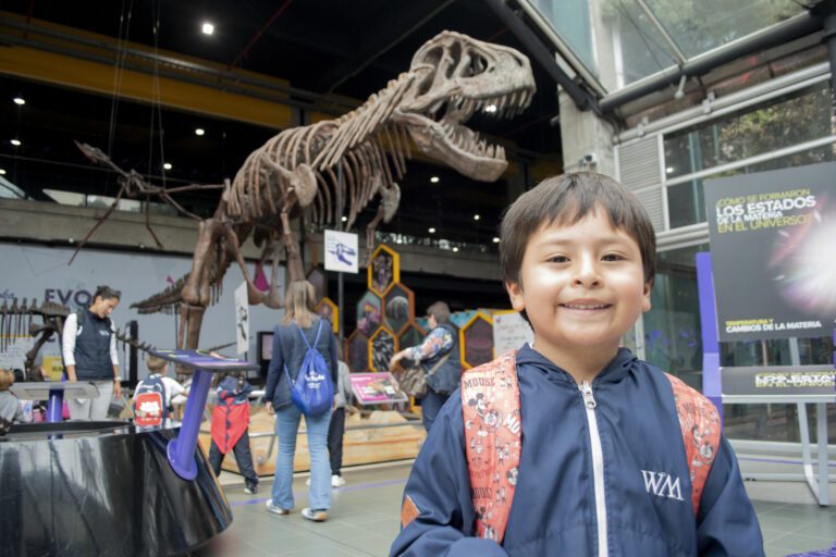Qué actividades ofrece el museo interactivo en Buenos Aires 29 ninos explorando en un museo interactivo
