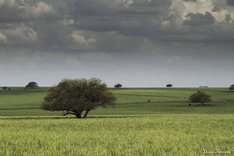 nubes sobre un paisaje pampeano