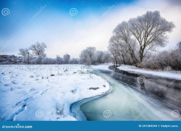 paisaje nevado con arboles cubiertos de hielo