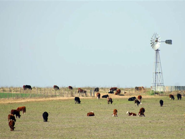 paisaje rural de victoria entre rios