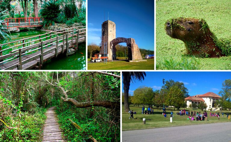 parque y naturaleza en la plata