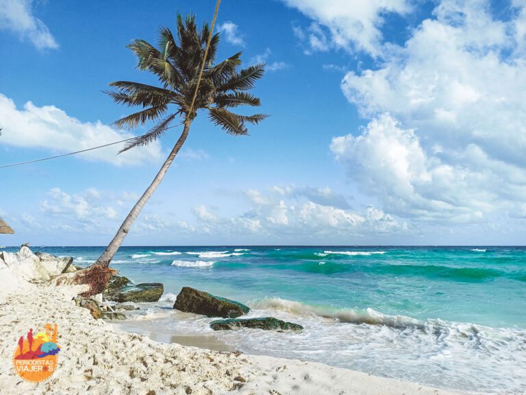 playa del carmen con mar y palmeras