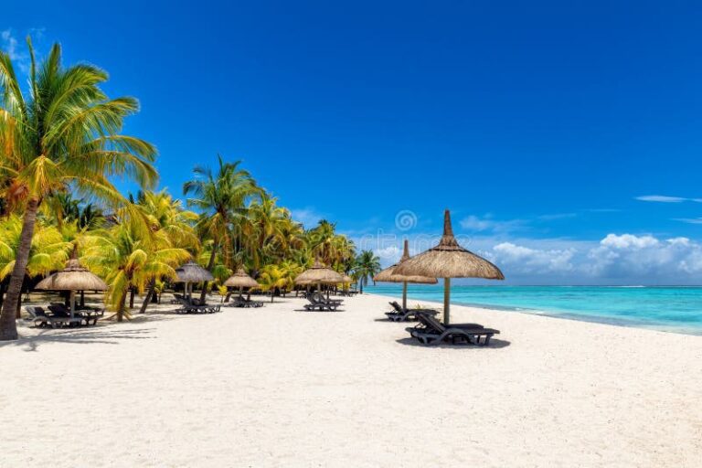 playa soleada con sombrillas y palmeras