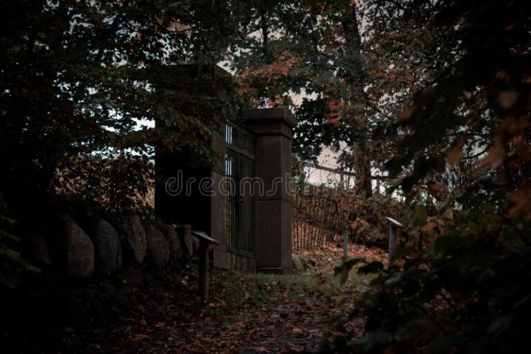 puerta cerrada en un bosque oscuro