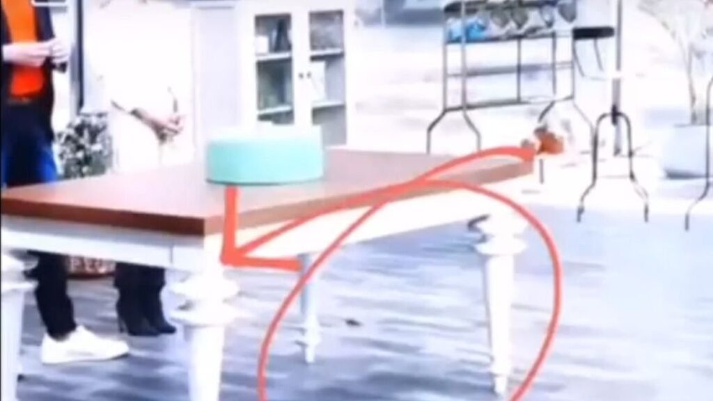 Qué pasó con la rata en Bake Off Argentina y por qué generó polémica 5 Qué pasó con la rata en Bake Off Argentina y por qué generó polémica