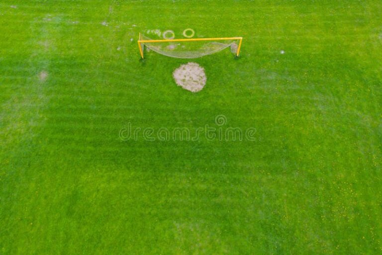 red de futbol en campo verde