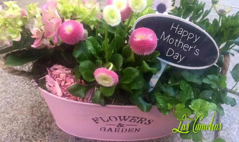regalos y flores para el dia de la madre