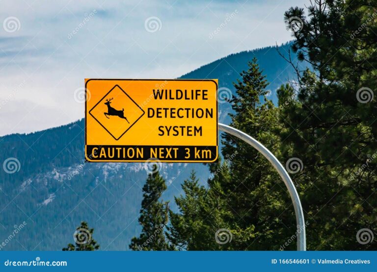 senal de alerta amarilla en la naturaleza