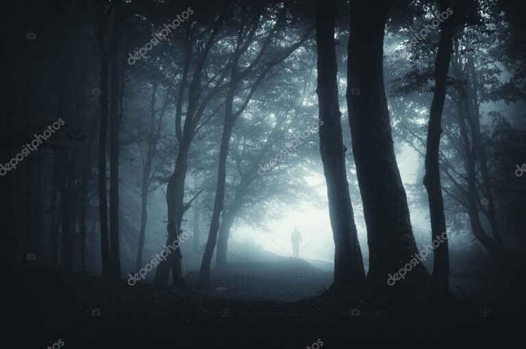 Cuándo Acecha La Maldad y Qué Significado Tiene en Nuestra Vida 24 sombra oscura en un bosque misterioso