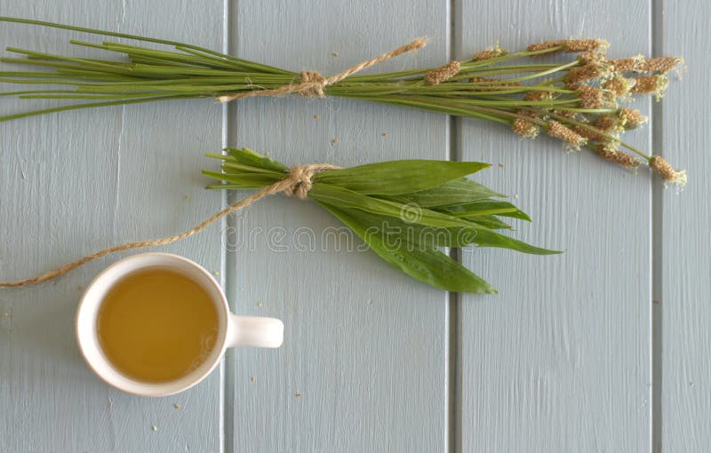 Qué es una te divina y cómo comprarla en Mercado Libre 4 Qué es una te divina y cómo comprarla en Mercado Libre