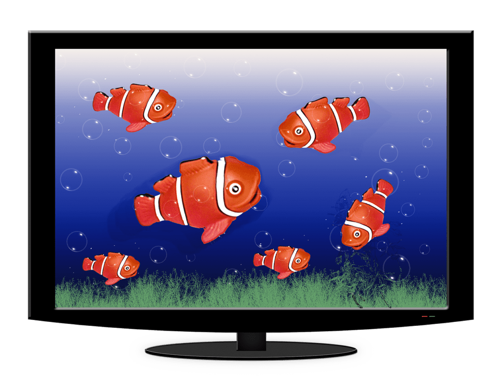 televisor con fondo marino y personajes animados