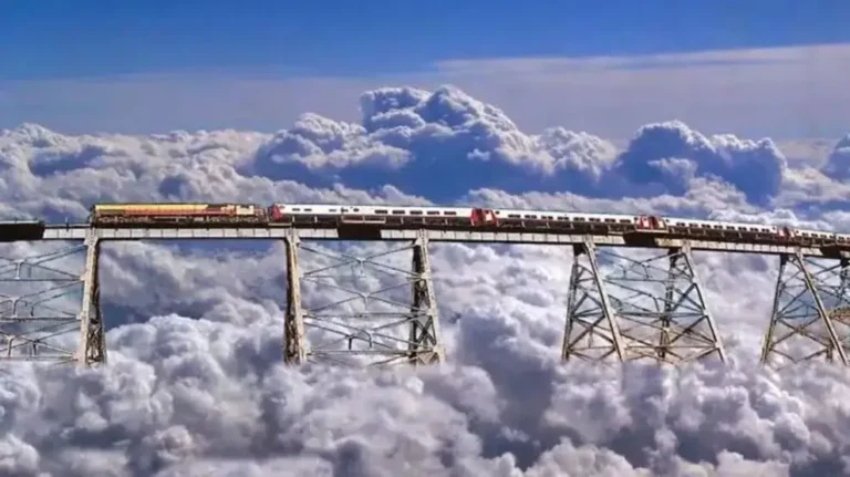 tren atravesando paisajes argentinos