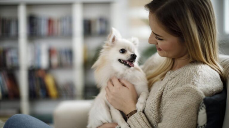 De qué trata "My Life as Inukai-san's Dog" y cuáles son sus temas principales 7 un perro mirando a su duena